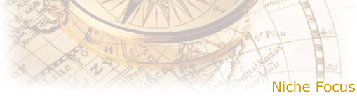 Niche Focus Page Title